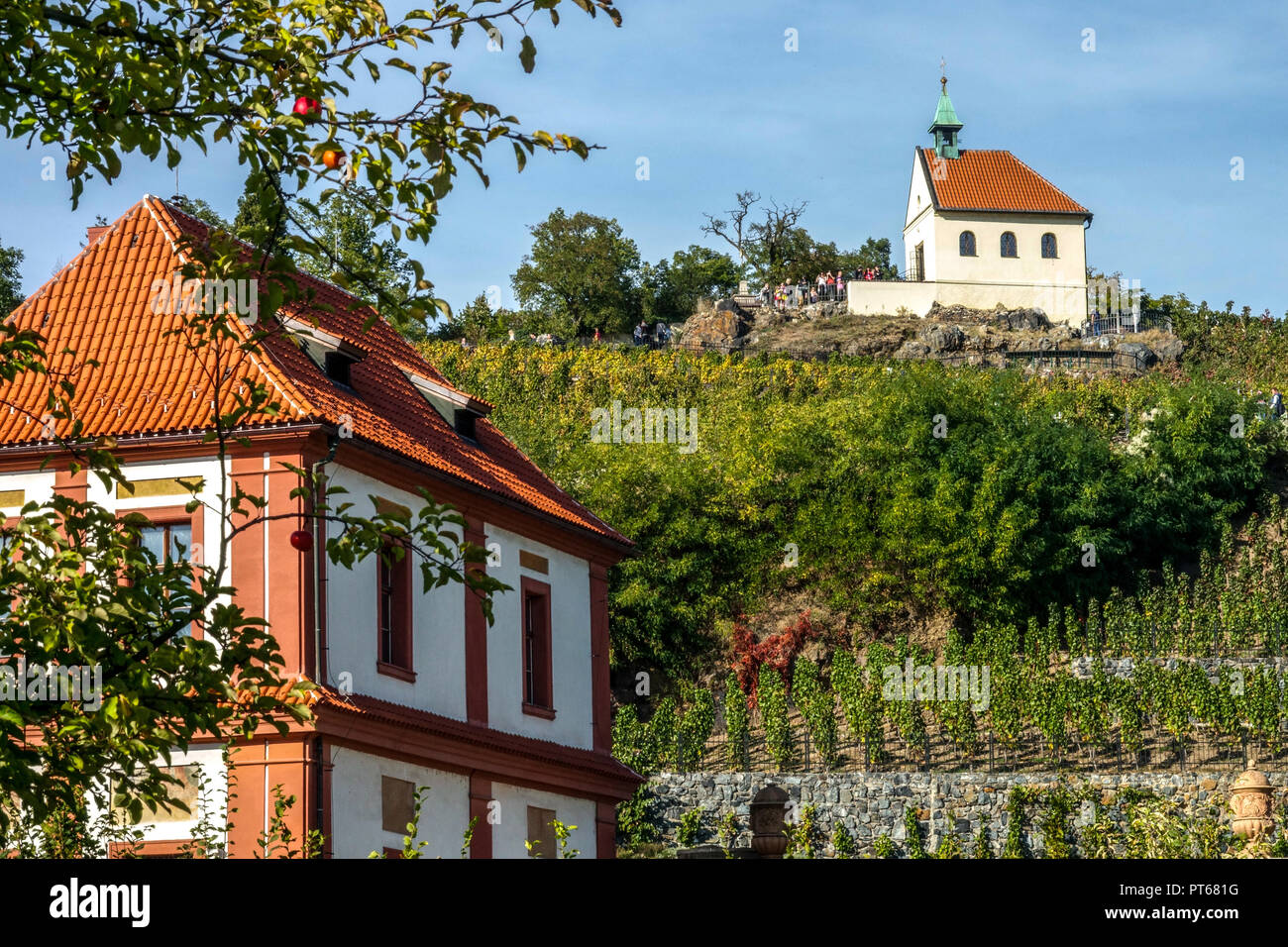 Prague et ses jardins et vignobles, vue de la chapelle de Saint Clair's vineyard du jardin de château de Troja Troja, Prague, République Tchèque Banque D'Images