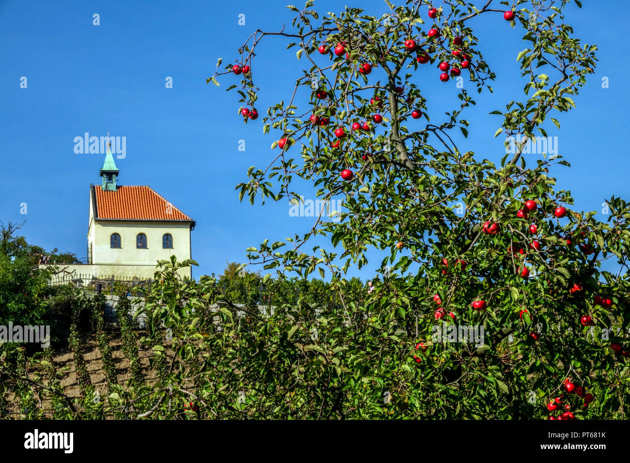 Prague et ses jardins, vue de la chapelle de Saint Clair's vineyard du jardin de château de Troja Troja, Prague, République Tchèque Banque D'Images
