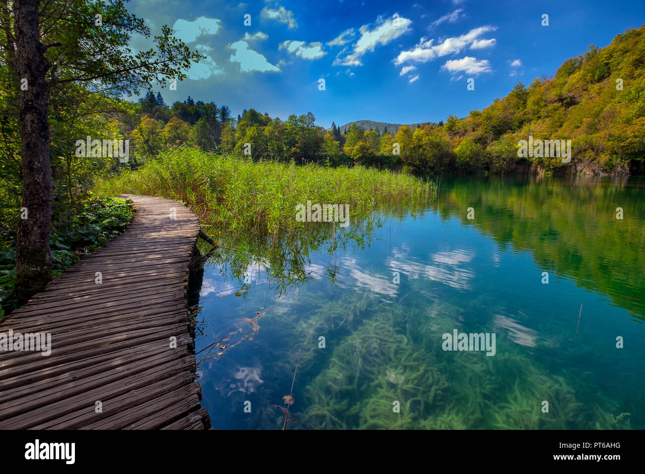 Lacs de Plitvice Parc National. Saison Automne site de l'UNESCO. De l'automne. La Croatie. Banque D'Images