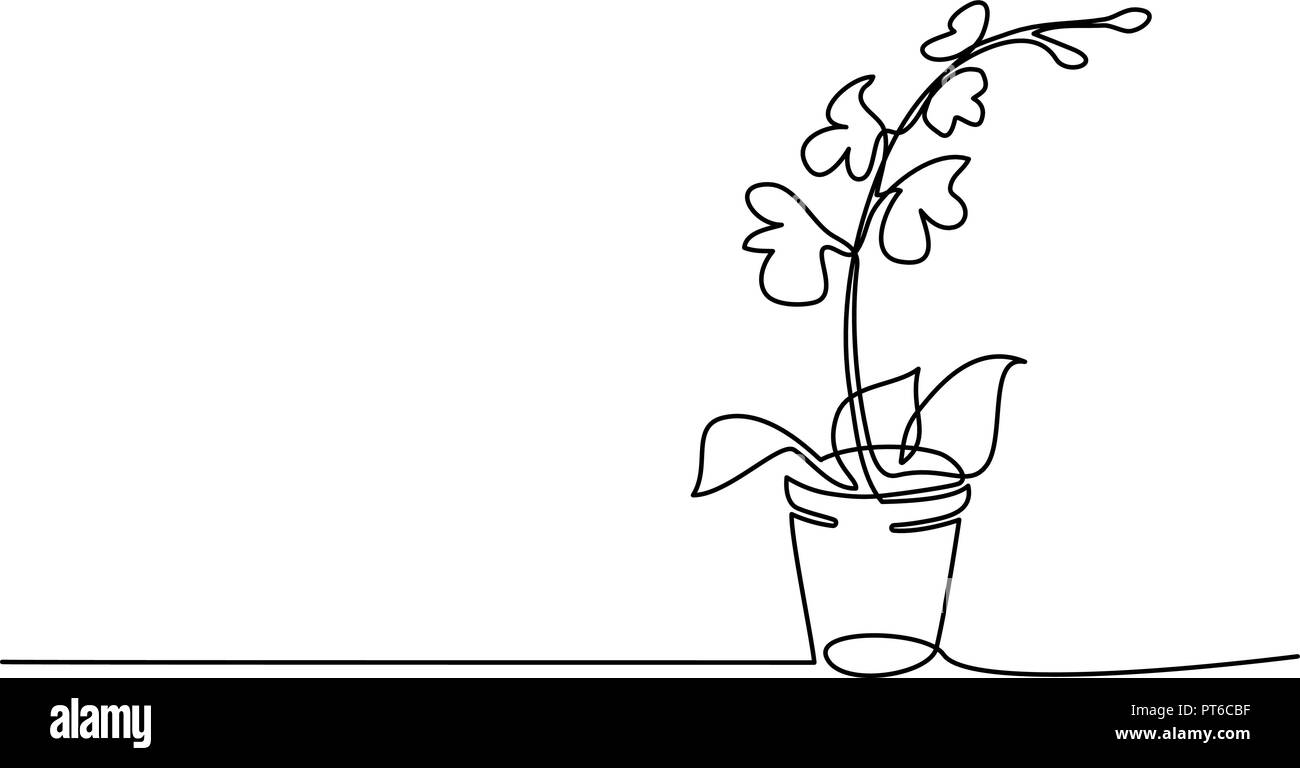 Dessin d'une ligne continue. Orchidée en fleurs en pot. Vector illustration Illustration de Vecteur