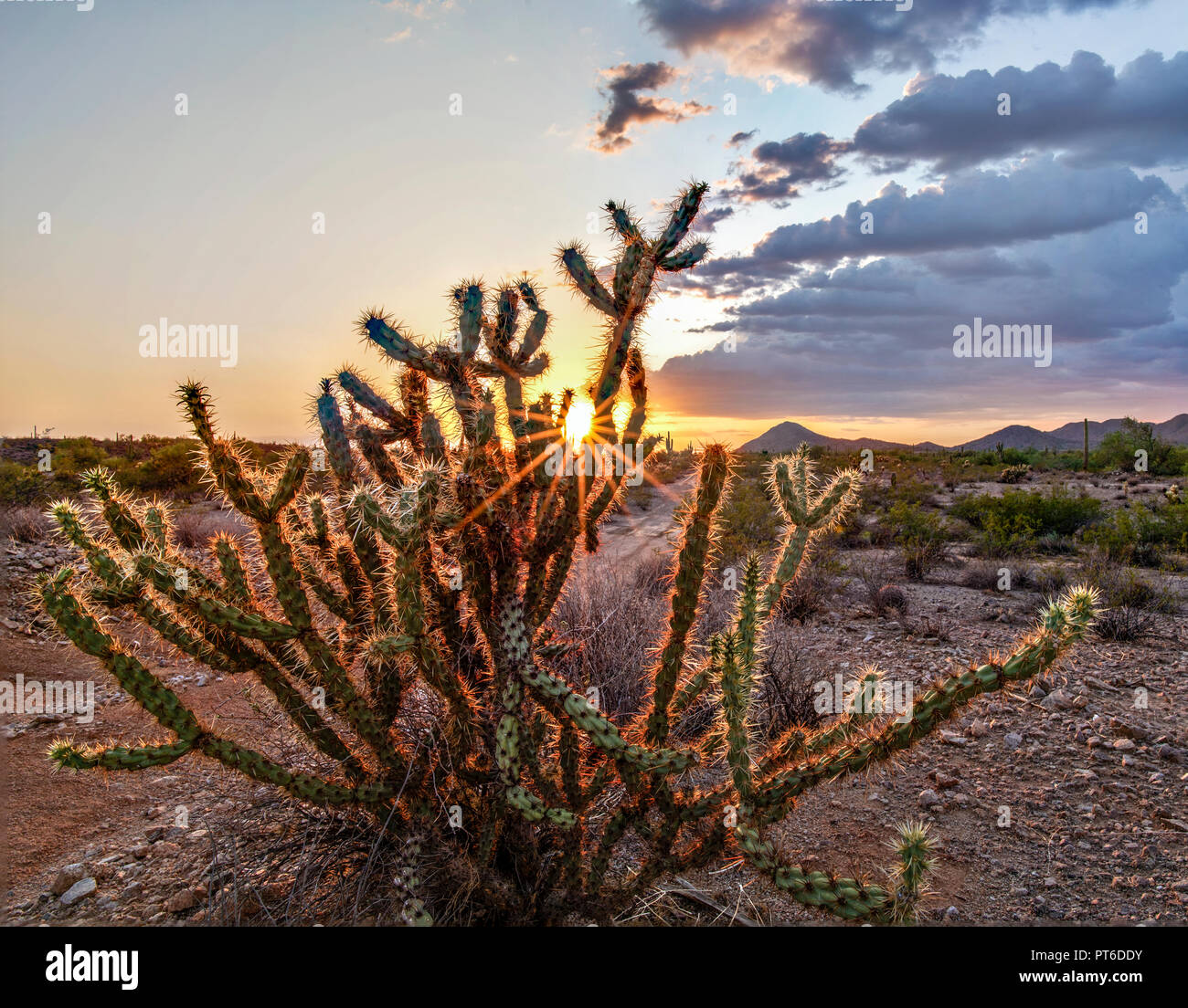 Un beau coucher du soleil à Peoria Arizona. J'ai capturé cette incroyable coucher du soleil quand j'étais à cheval mon vtt dans le désert de Sonora. Banque D'Images