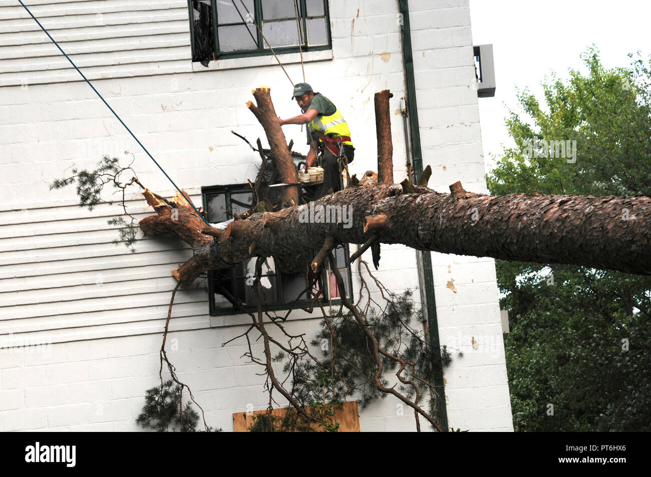 Travail des travailleurs sur le retrait d'un arbre qui s'est écrasé sur une maison de ville en pleine zone verte après une violente tempête Banque D'Images