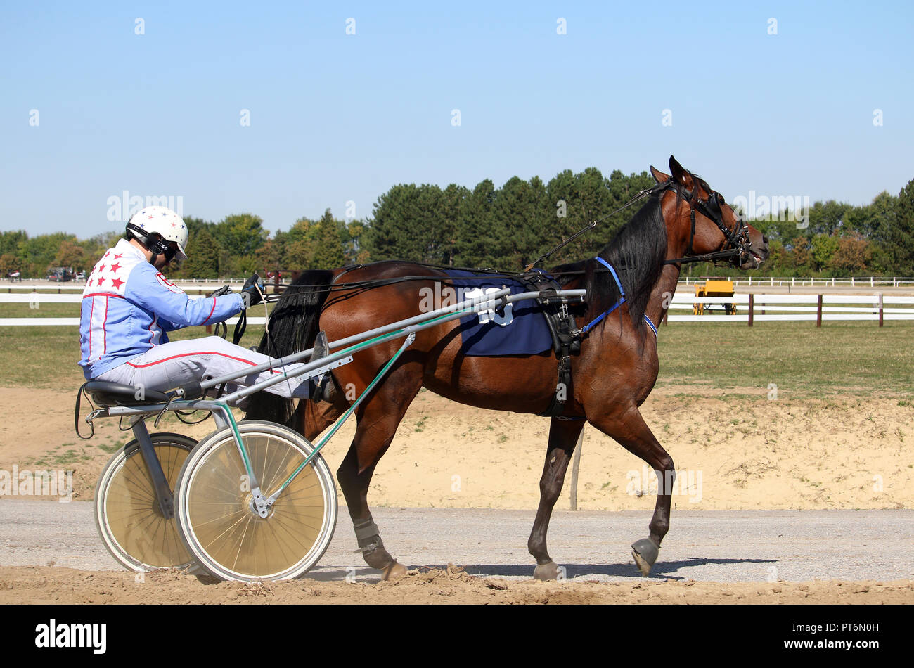 La course à l'Hippodrome jockey et cheval Banque D'Images