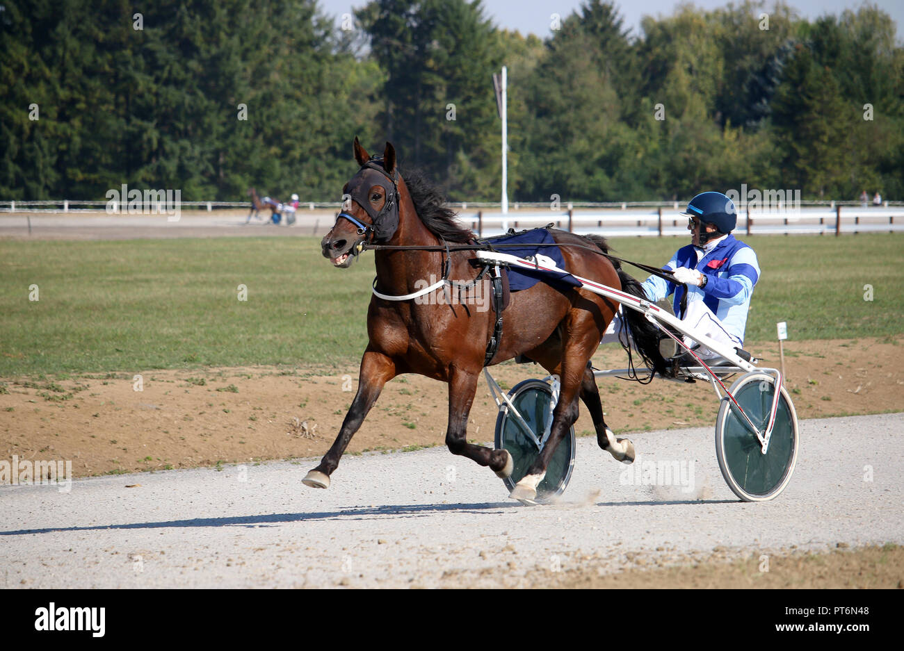 La course à l'hippodrome de trot de cheval Banque D'Images