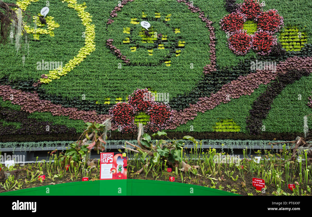 Les Jardins botaniques royaux de Sydney, a la plus grande muraille verte de l'intérieur de l'hémisphère sud. En plus d'avoir plus de 18, 000 plantes growin Banque D'Images