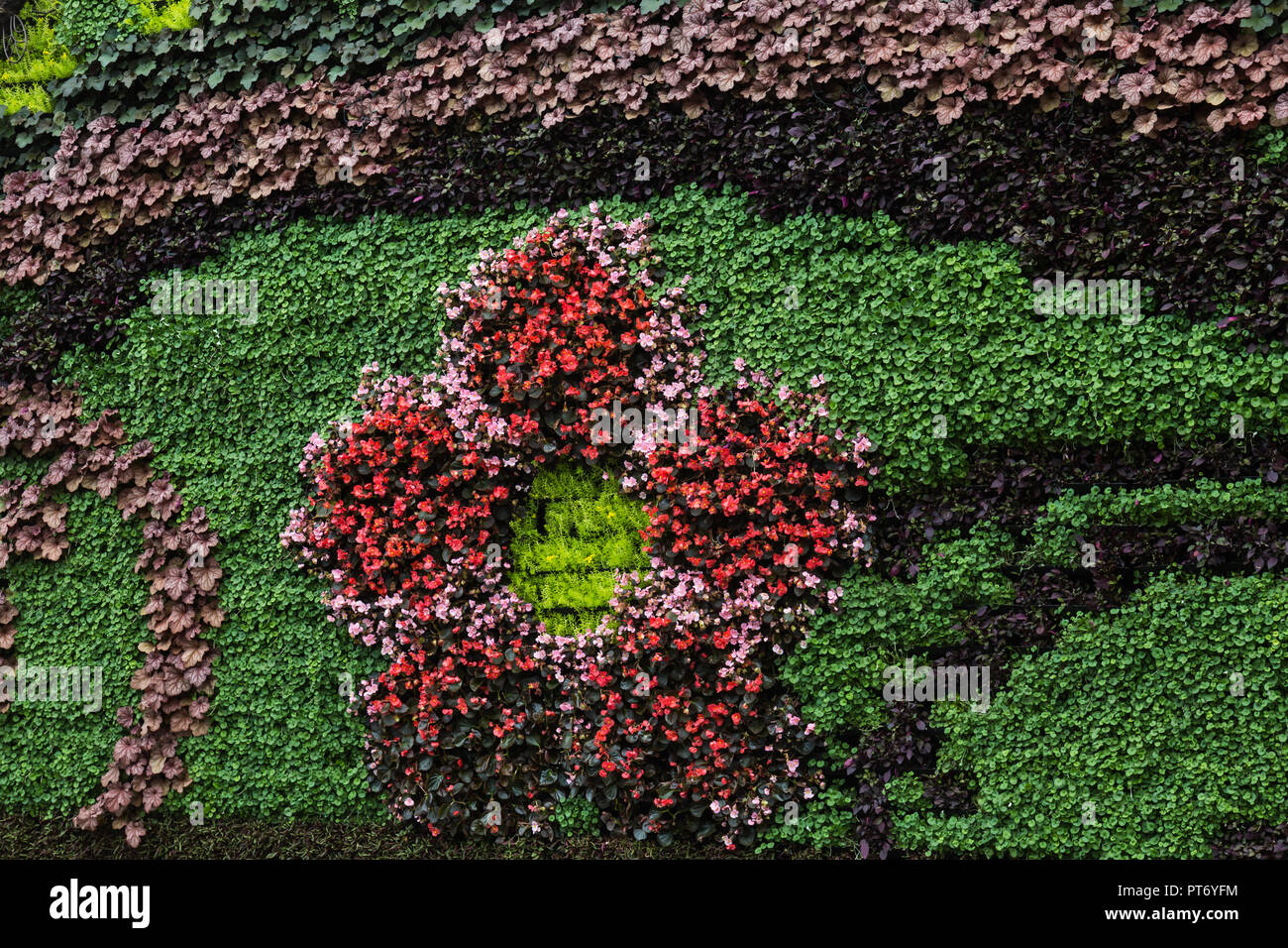 Les Jardins botaniques royaux de Sydney, a la plus grande muraille verte de l'intérieur de l'hémisphère sud. En plus d'avoir plus de 18, 000 plantes growin Banque D'Images