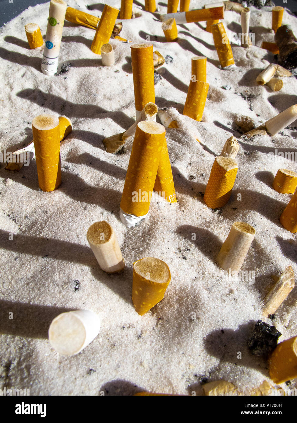 Les mégots éteints dans un cendrier avec du sable blanc Banque D'Images
