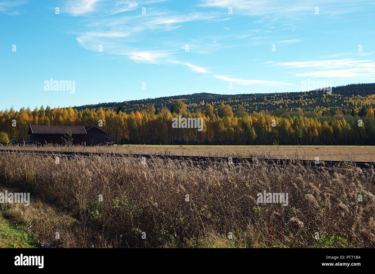 Belles couleurs d'automne dans les forêts et les lacs autour de la Suède rurale. Banque D'Images