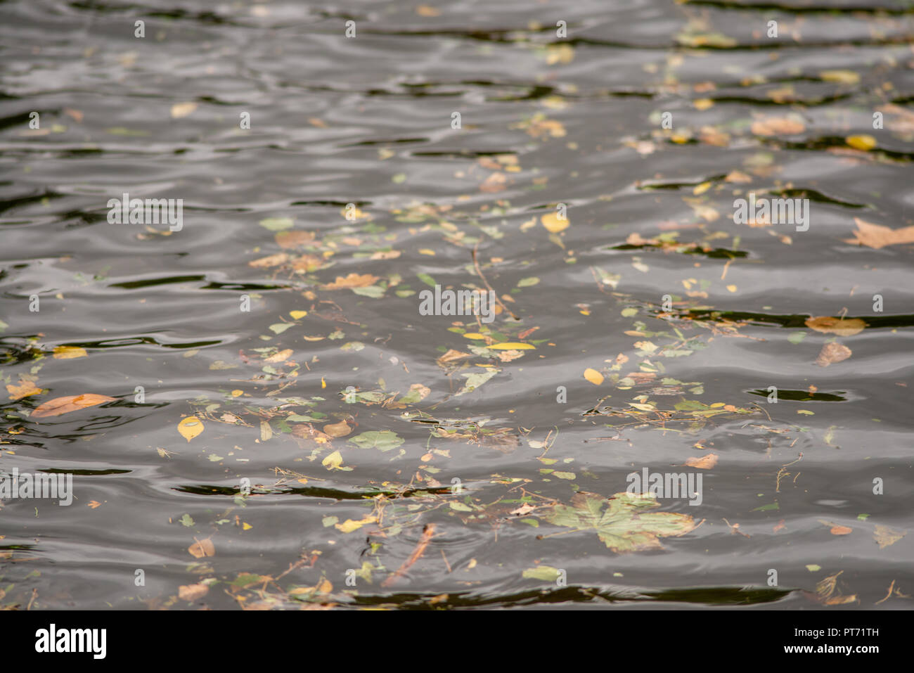 Abstraite automne feuilles sur le sommet des vagues en rivière Banque D'Images