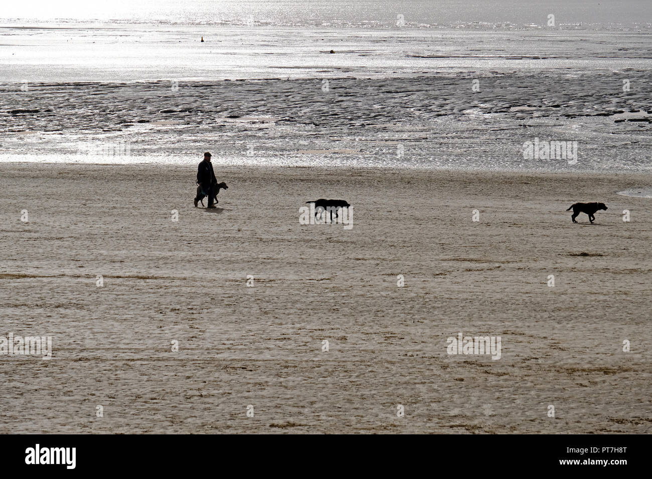 Weston-super-Mare, Royaume-Uni. 7 octobre, 2018. Météo France : les marcheurs et leurs chiens sont les seuls usagers de la plage sur un froid, nuageux dimanche après-midi. Keith Ramsey/Alamy Live News Banque D'Images