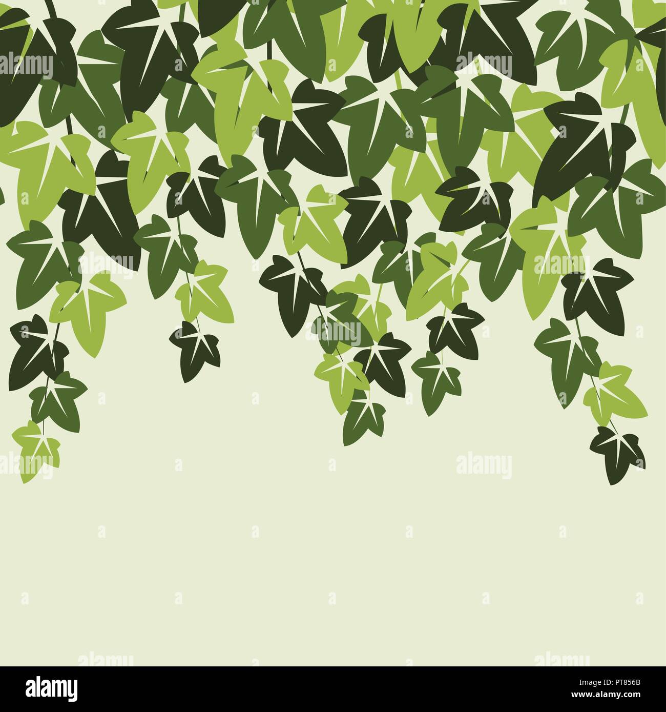 Ivy vecteur seamless background. vert lierre sur un mur Illustration de Vecteur