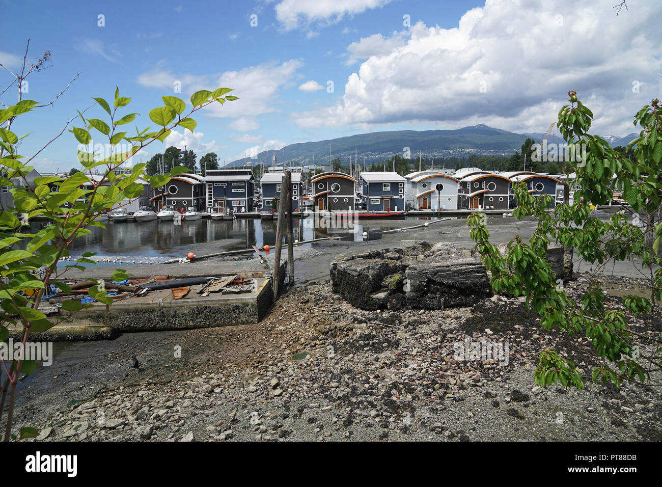 Marina de Mosquito Creek flottantes, Vancouver, Canada Banque D'Images