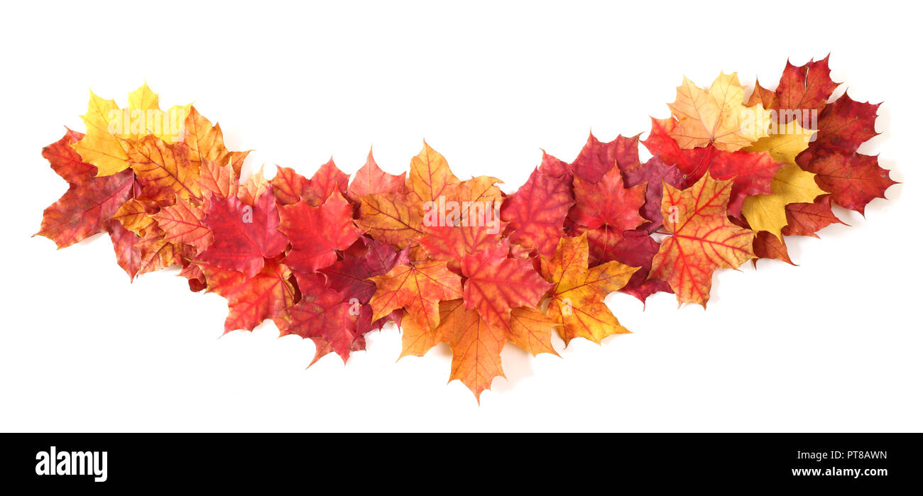 L'automne les feuilles isolées border frame stripe isolé sur blanc design élément avec copie espace pour le texte Banque D'Images