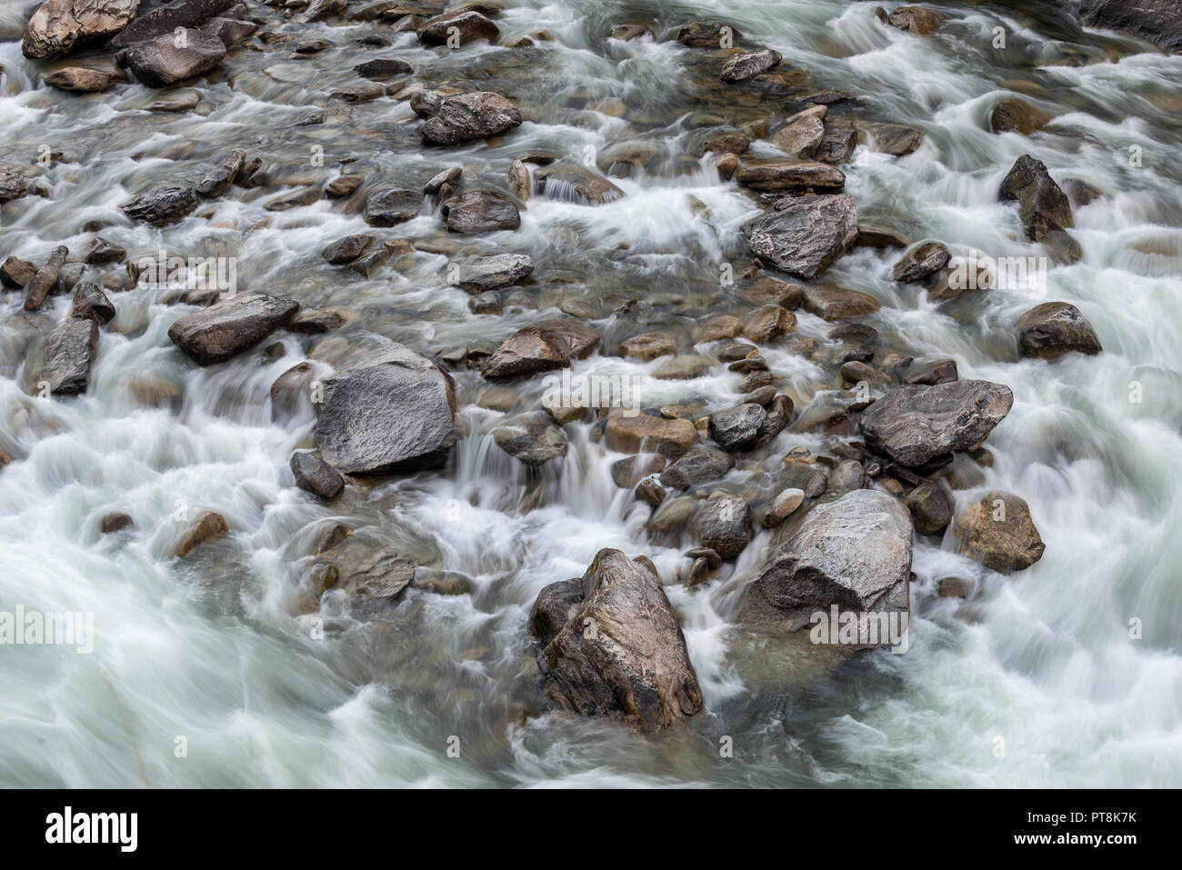 Détail de Wolf Creek Rapids sur la rivière Selway de l'Idaho. Banque D'Images