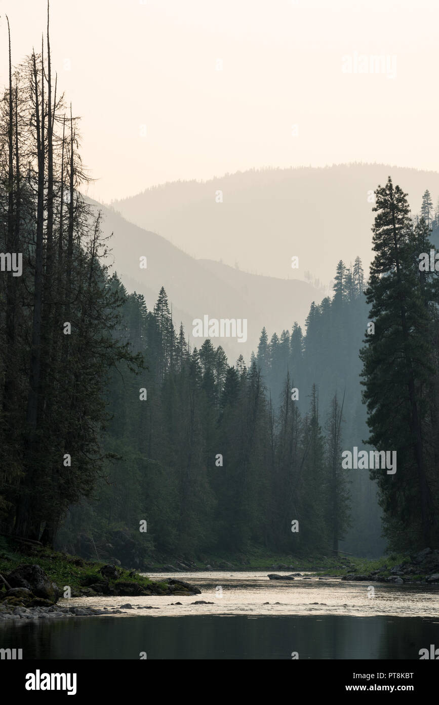 Le calme de la rivière Selway dans la Selway-Bitterroot, désert de l'Idaho. Banque D'Images