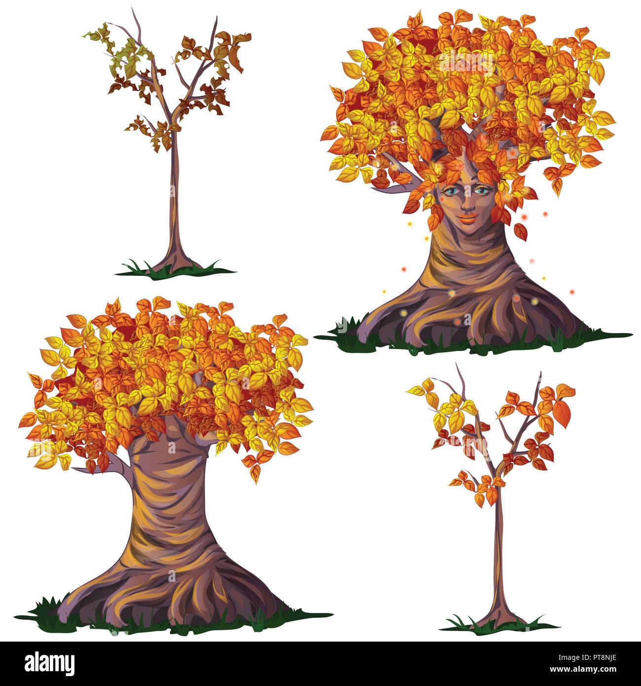 Fantasy jeu d'arbres à feuilles caduques dans l'automne isolé sur fond blanc. Cartoon Vector illustration close-up. Illustration de Vecteur