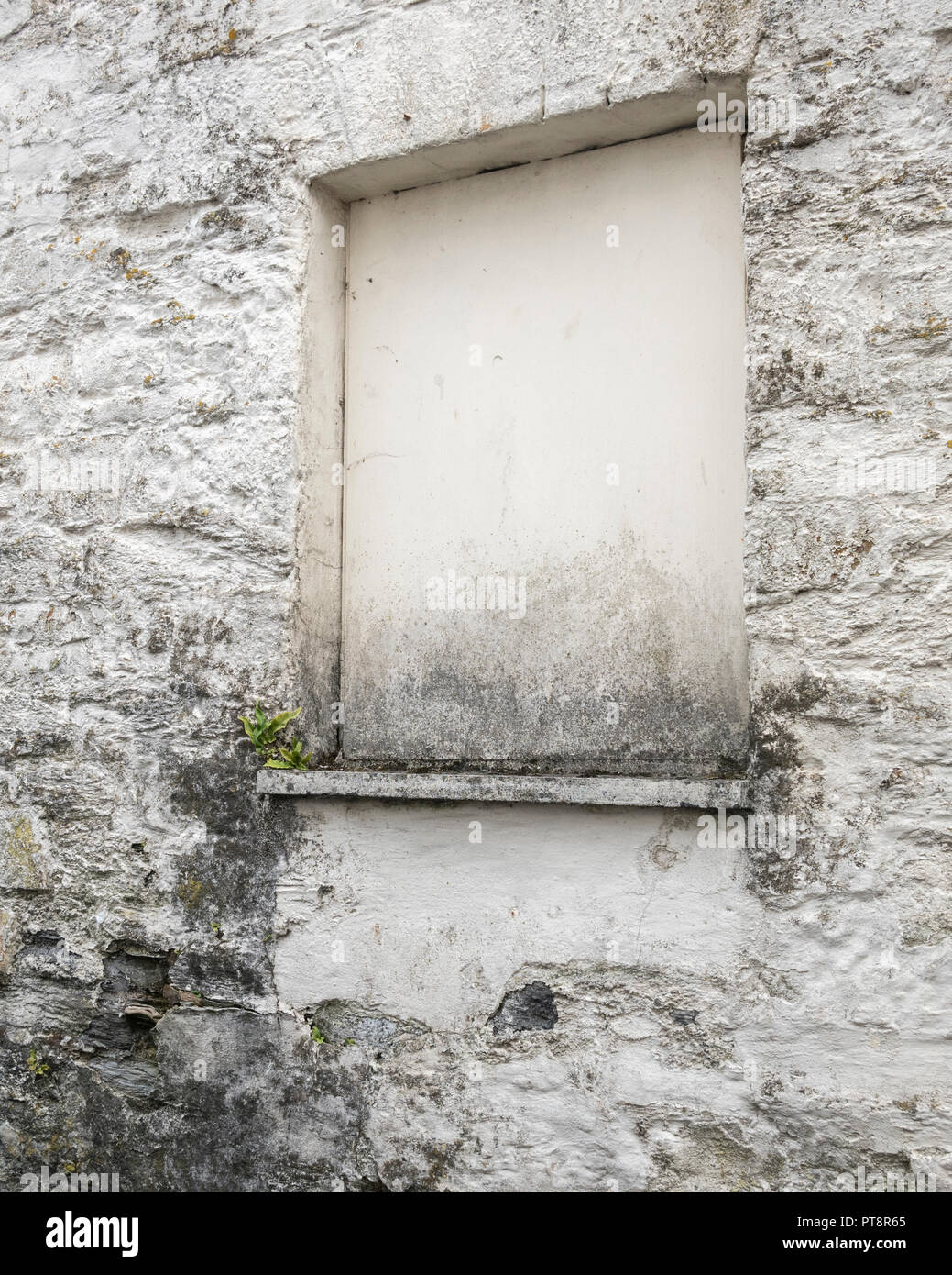 Fenêtre barricadèrent à Newquay rue latérale. Banque D'Images