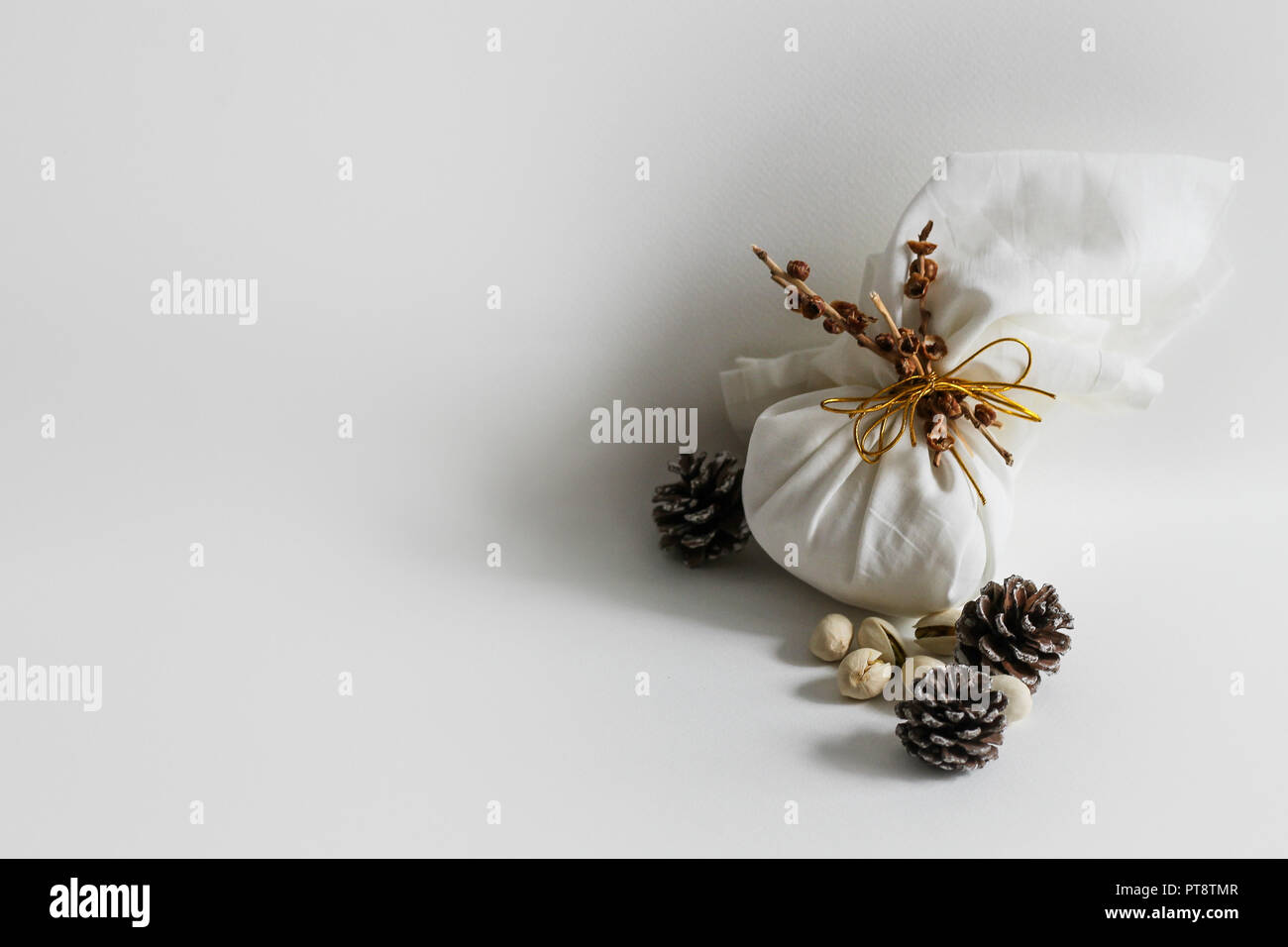 L'hiver et l'automne minimaliste inspiré background Banque D'Images