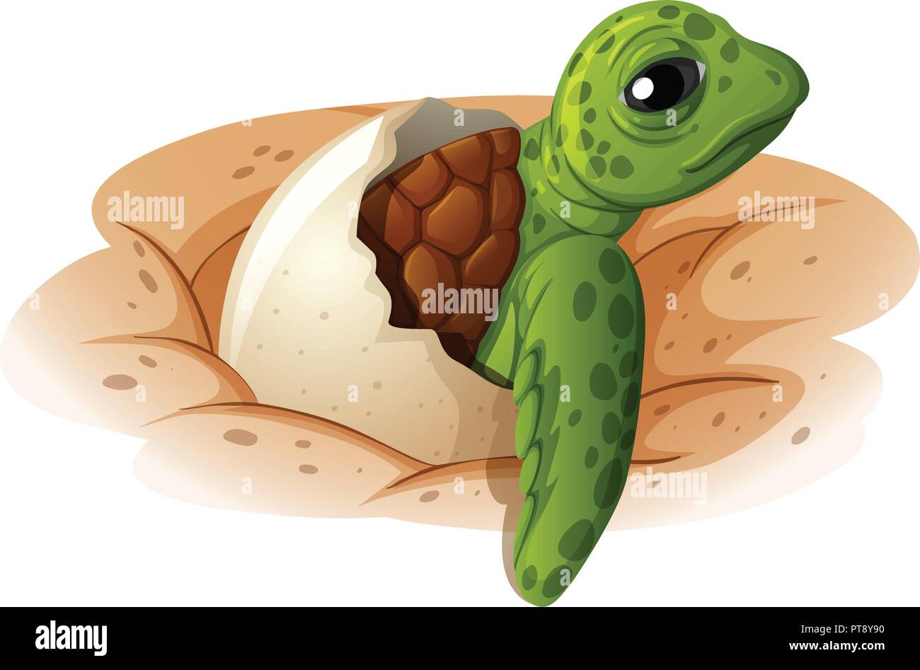 Bébé tortue qui sort de l'illustration du shell Illustration de Vecteur
