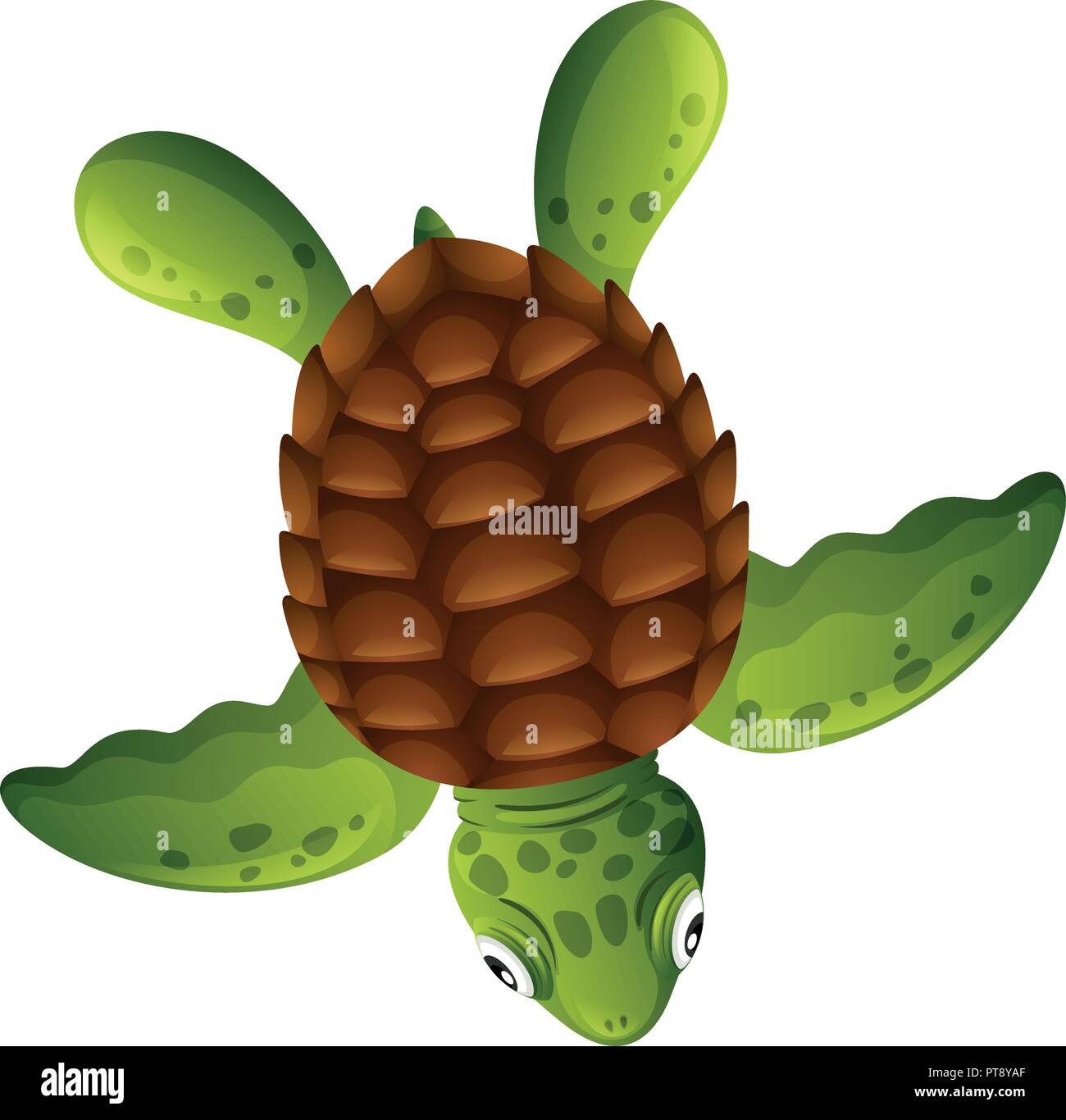 Une tortue de mer verte sur fond blanc illustration Illustration de Vecteur