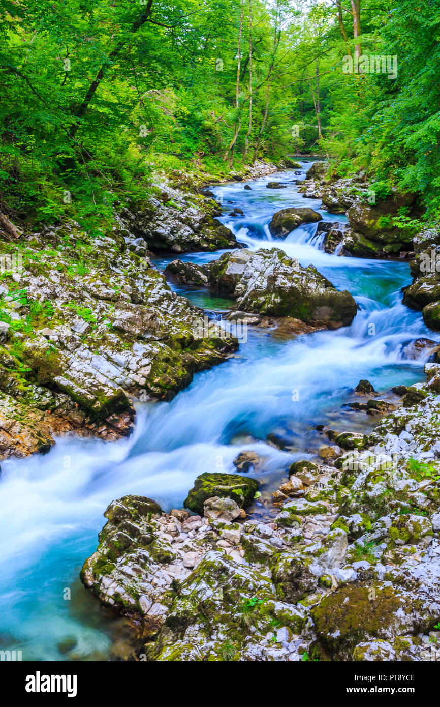 Dans une gorge de la rivière. Banque D'Images