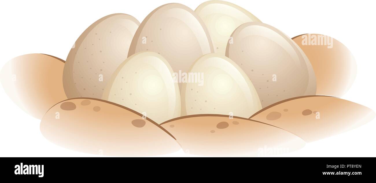 Des œufs de tortues dans le sable illustration Illustration de Vecteur