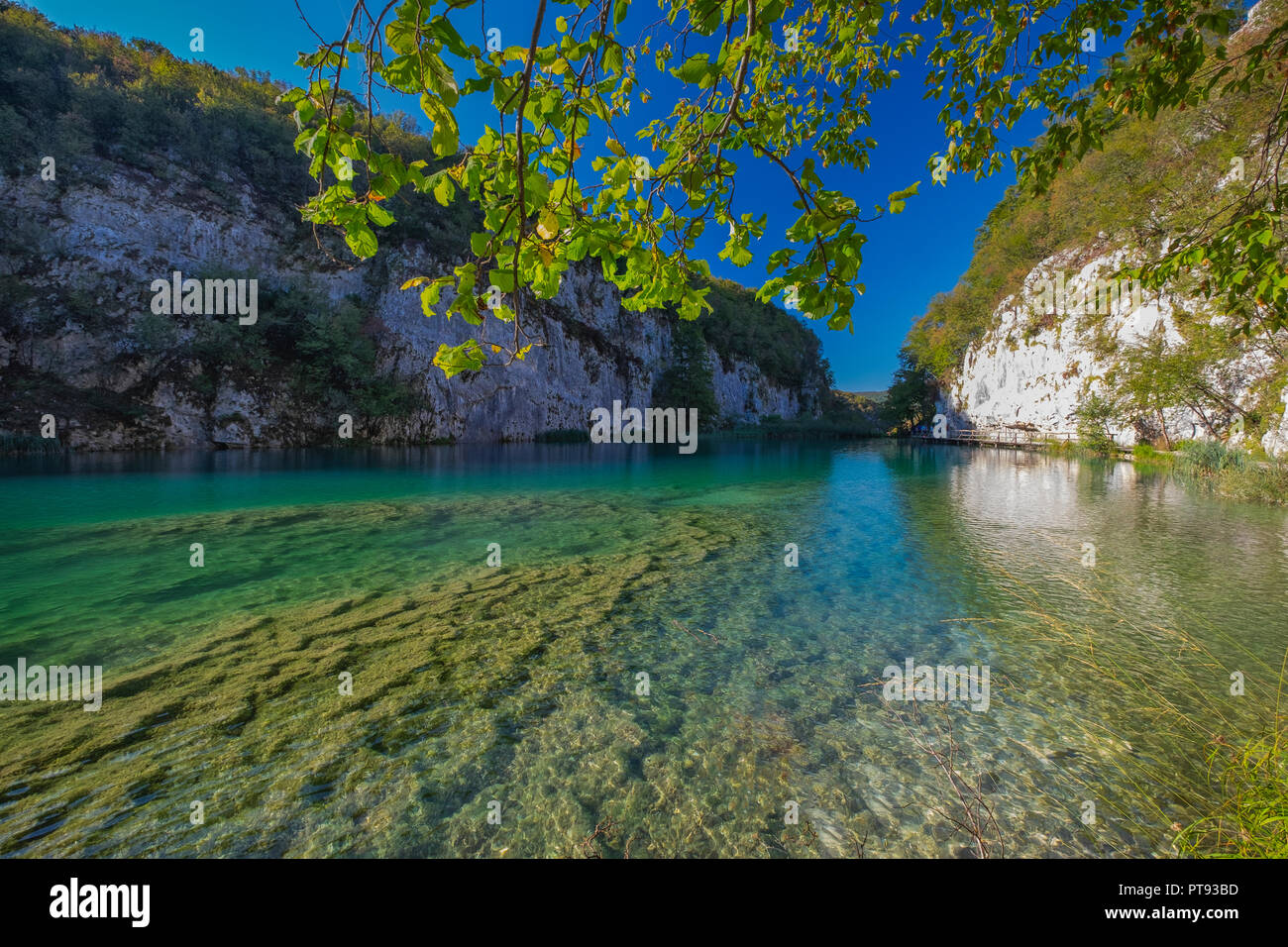 Lacs de Plitvice Parc National. Saison Automne site de l'UNESCO. De l'automne. La Croatie. Banque D'Images