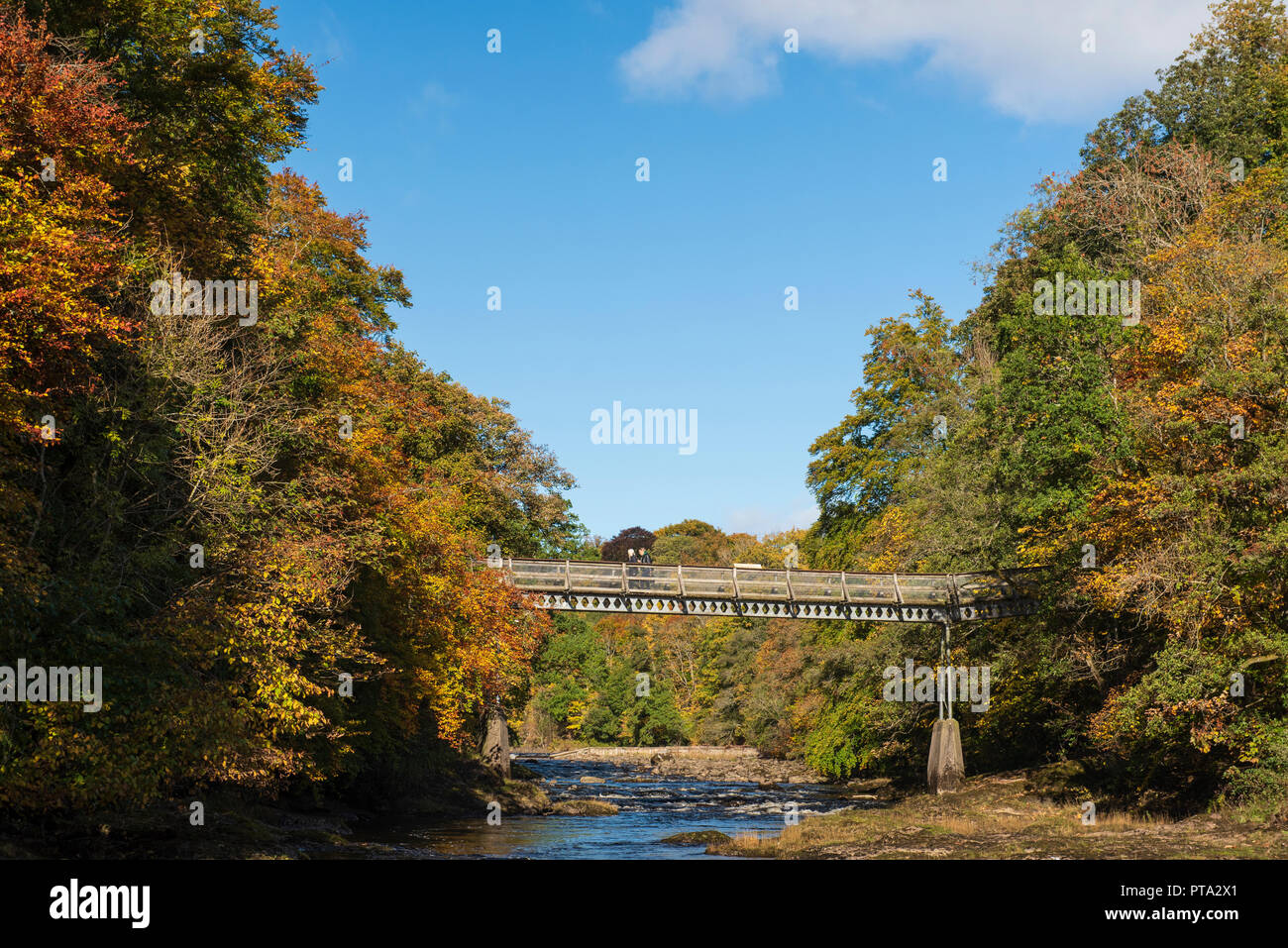 Couleurs d'automne sur la rivière Ericht, Blairgowrie, Perthshire, en Écosse. Banque D'Images