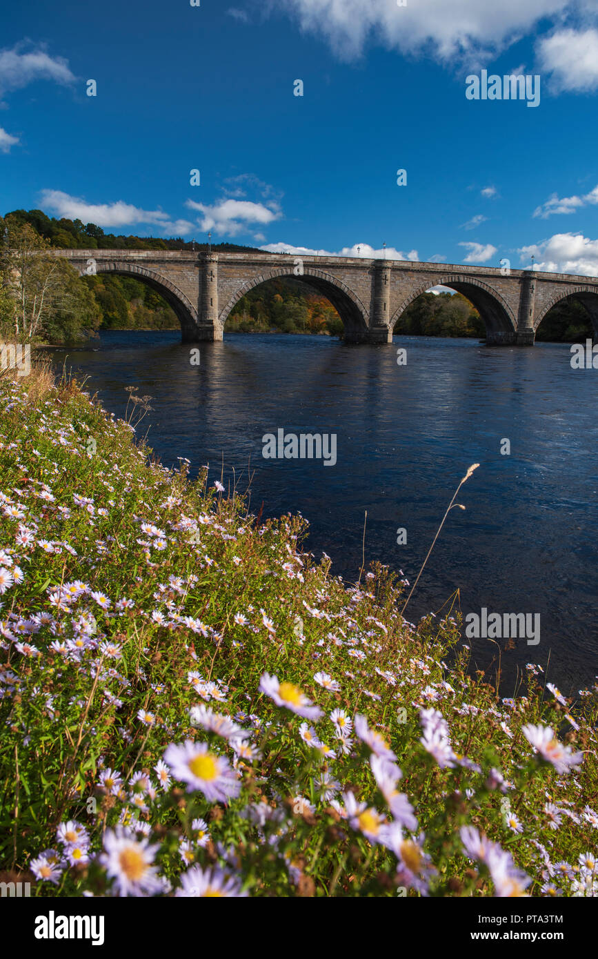 Thomas Telford's Pont sur la rivière Tay à Dunkeld, Perthshire, en Écosse. Banque D'Images