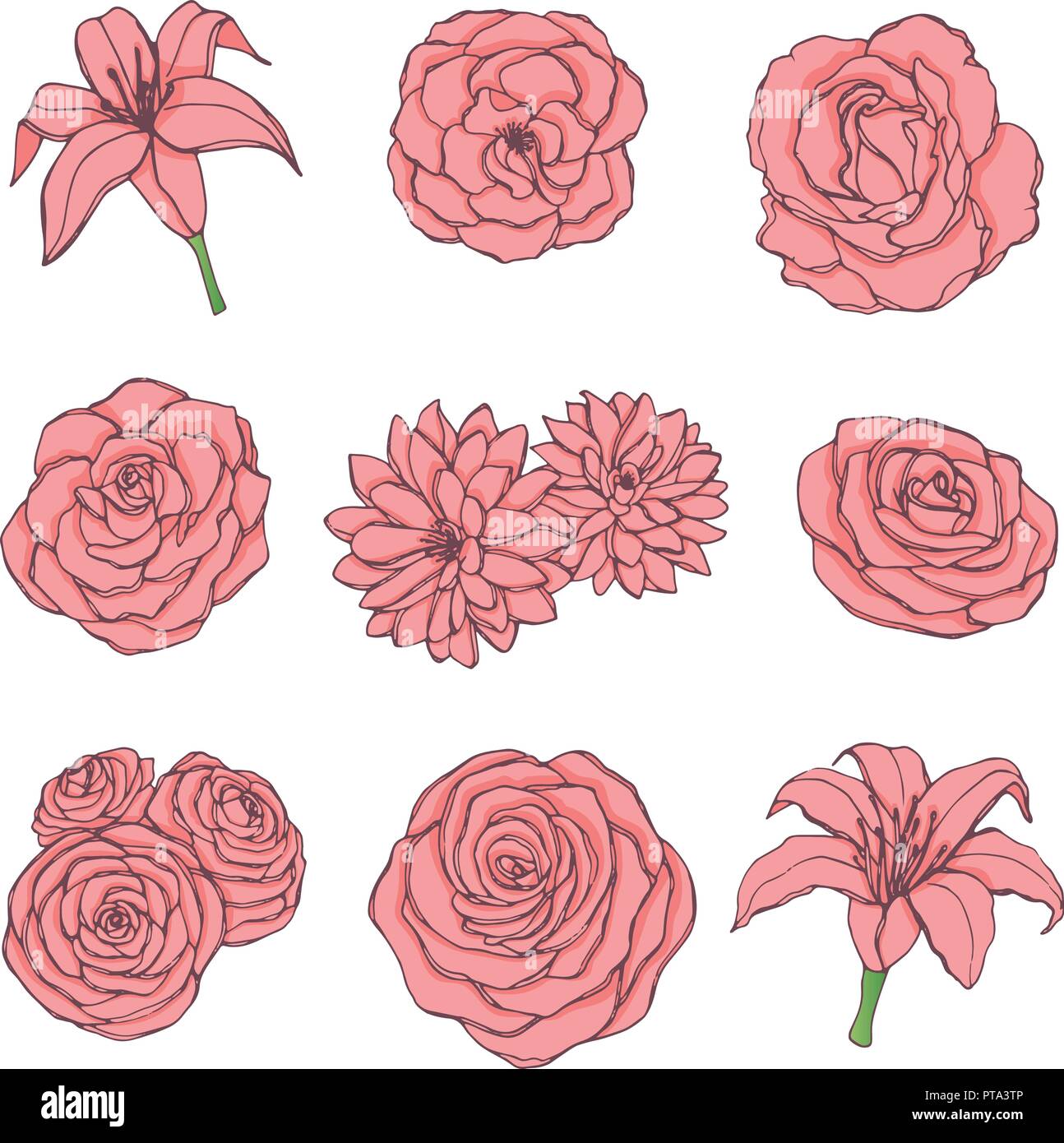 Hand drawn vector set de rose rose, muguet, pivoine et contour chrysanthèmes isolé sur le fond blanc. Vintage décoration florale. Illustration de Vecteur