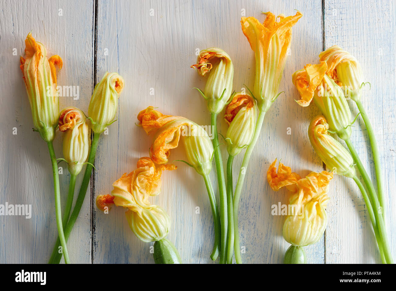 Fleurs de courgettes sur fond de bois Banque D'Images