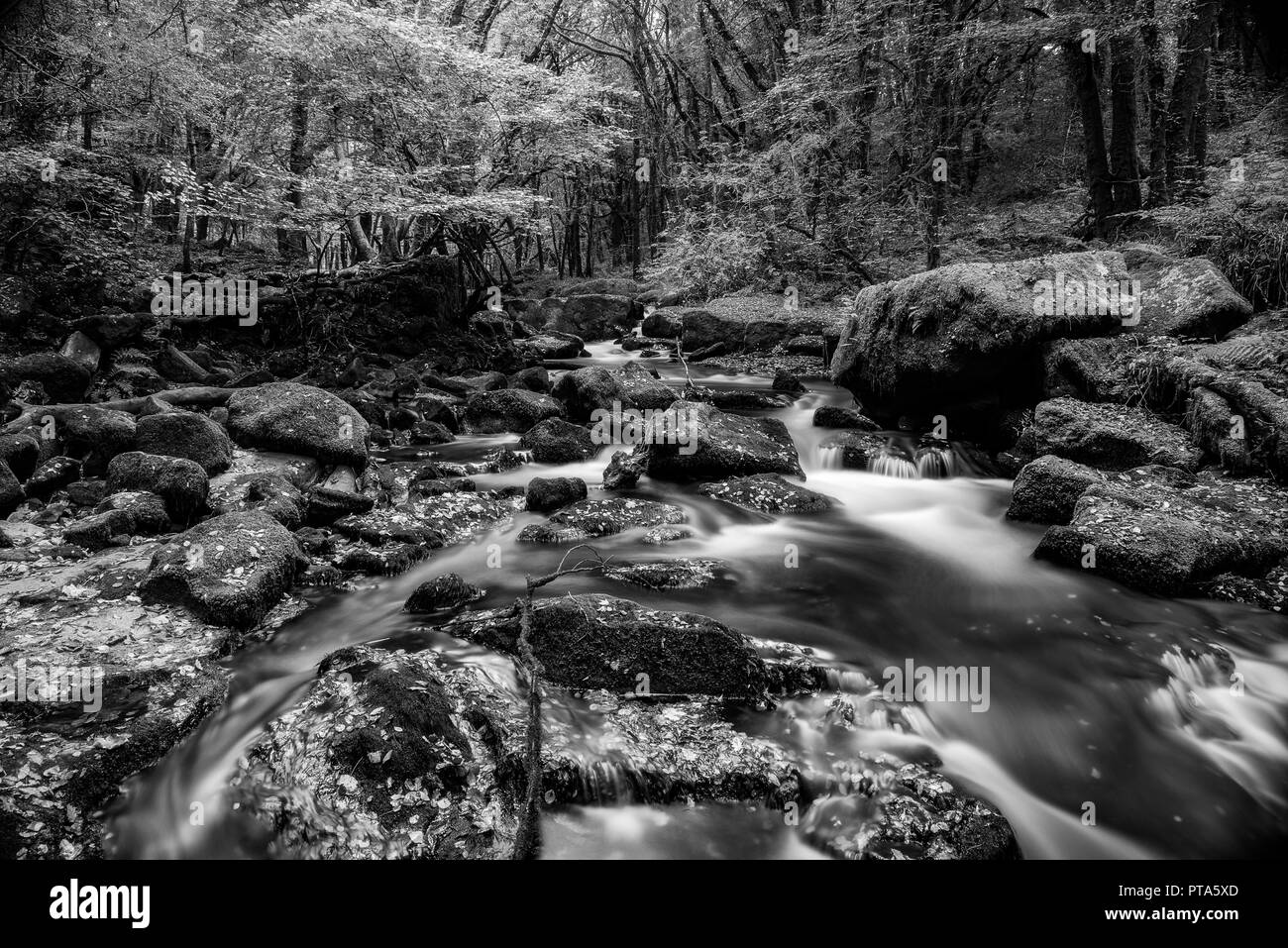 Golitha Falls, sont l'un des plus beaux bois, à Cornwall, ici le autmnal couleurs et couverts de mousse boulder font un parfait exemple de la Cornish Banque D'Images