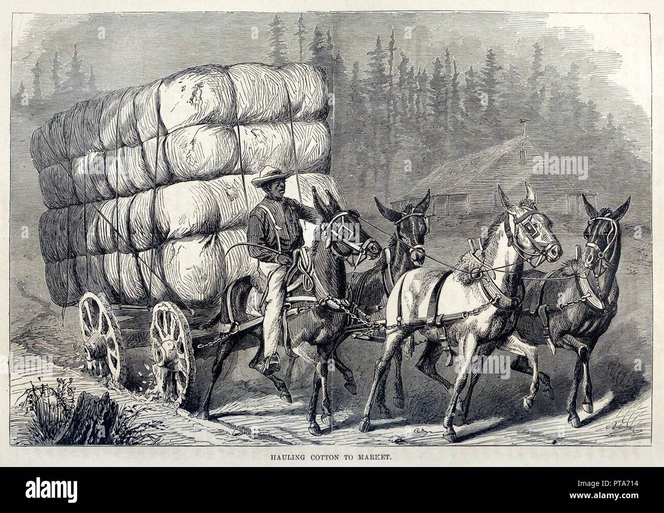 Le transport de coton, le marché d'une centaine d'années de progrès de la United States, pub. (Engravin 1871 Organisateur : American School (19ème siècle). Banque D'Images