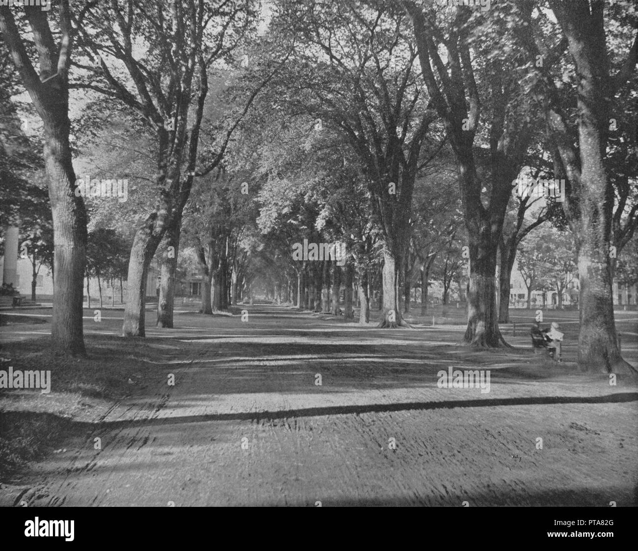 'L'Elms', New Haven, Connecticut, USA, c1900. Créateur : Inconnu. Banque D'Images