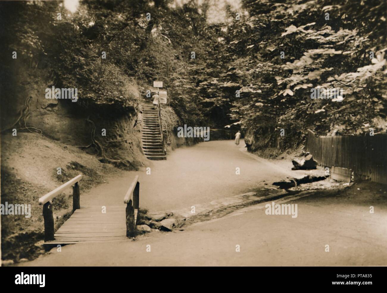 'Chine creuse, Shanklin, I.W.", c1920. Créateur : Inconnu. Banque D'Images
