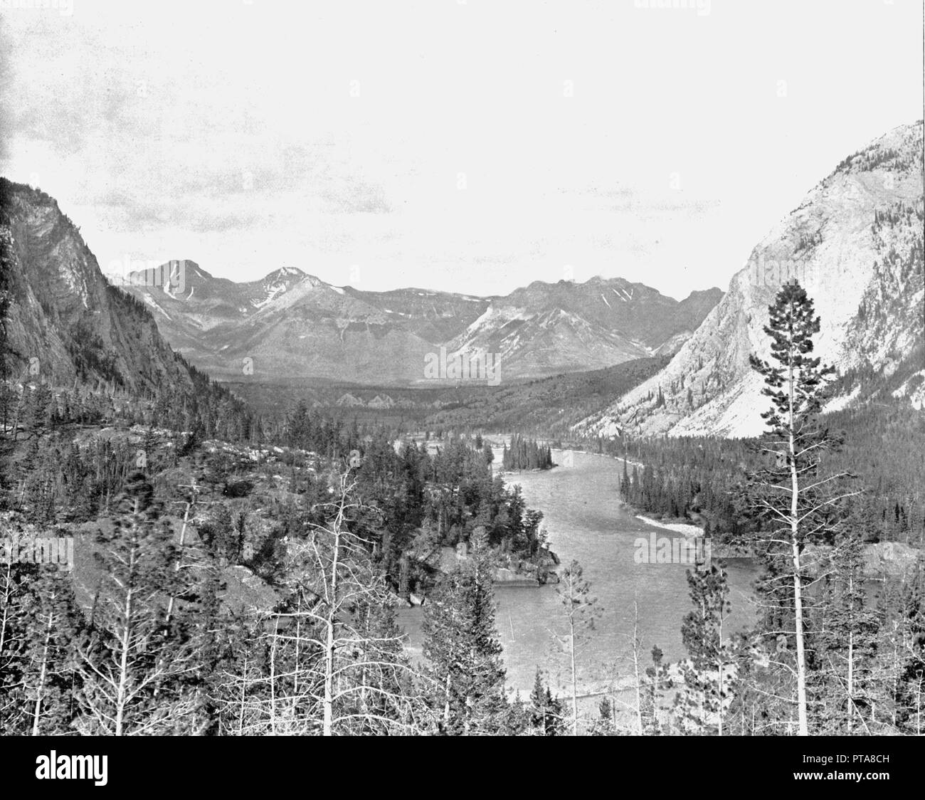 Vallée de la Bow River, Alberta, Canada, c1900. Créateur : Inconnu. Banque D'Images