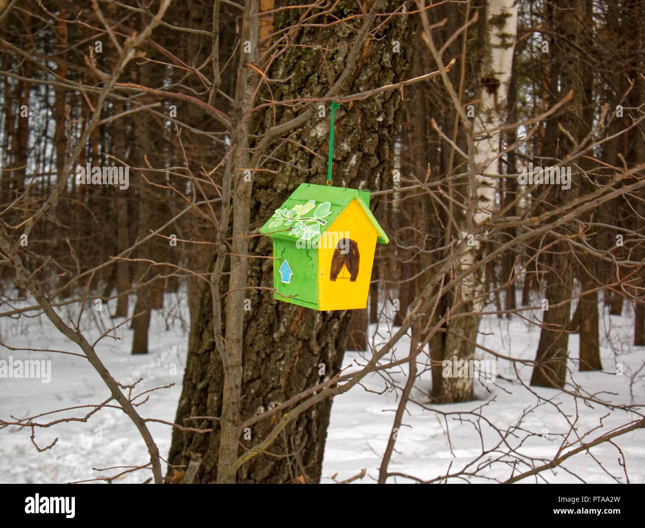 Mangeoire pour oiseaux colorés dans le parc en hiver, Moscou Banque D'Images
