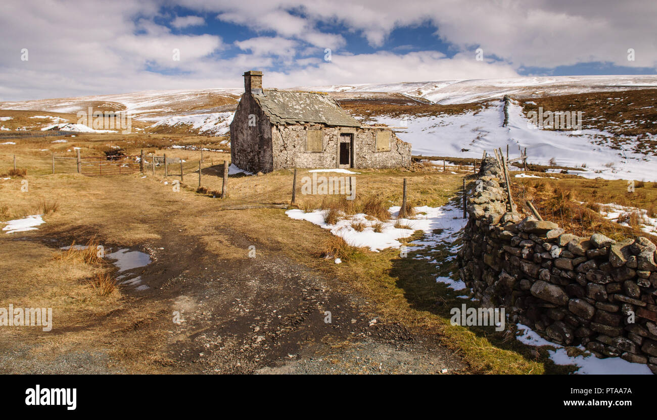 Les ruines d'une vieille cabane en pierre à côté du stand de tir Gayle Beck stream sur près de high moorland Ribblehead en Angleterre's Yorkshire Dales national park. Banque D'Images