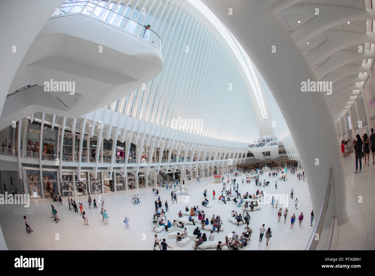NEW YORK - Août 2018 : l'intérieur du centre commercial Westfield Oculus au cours de journée chargée, World Trade Center Transportation Hub à New York, USA Banque D'Images