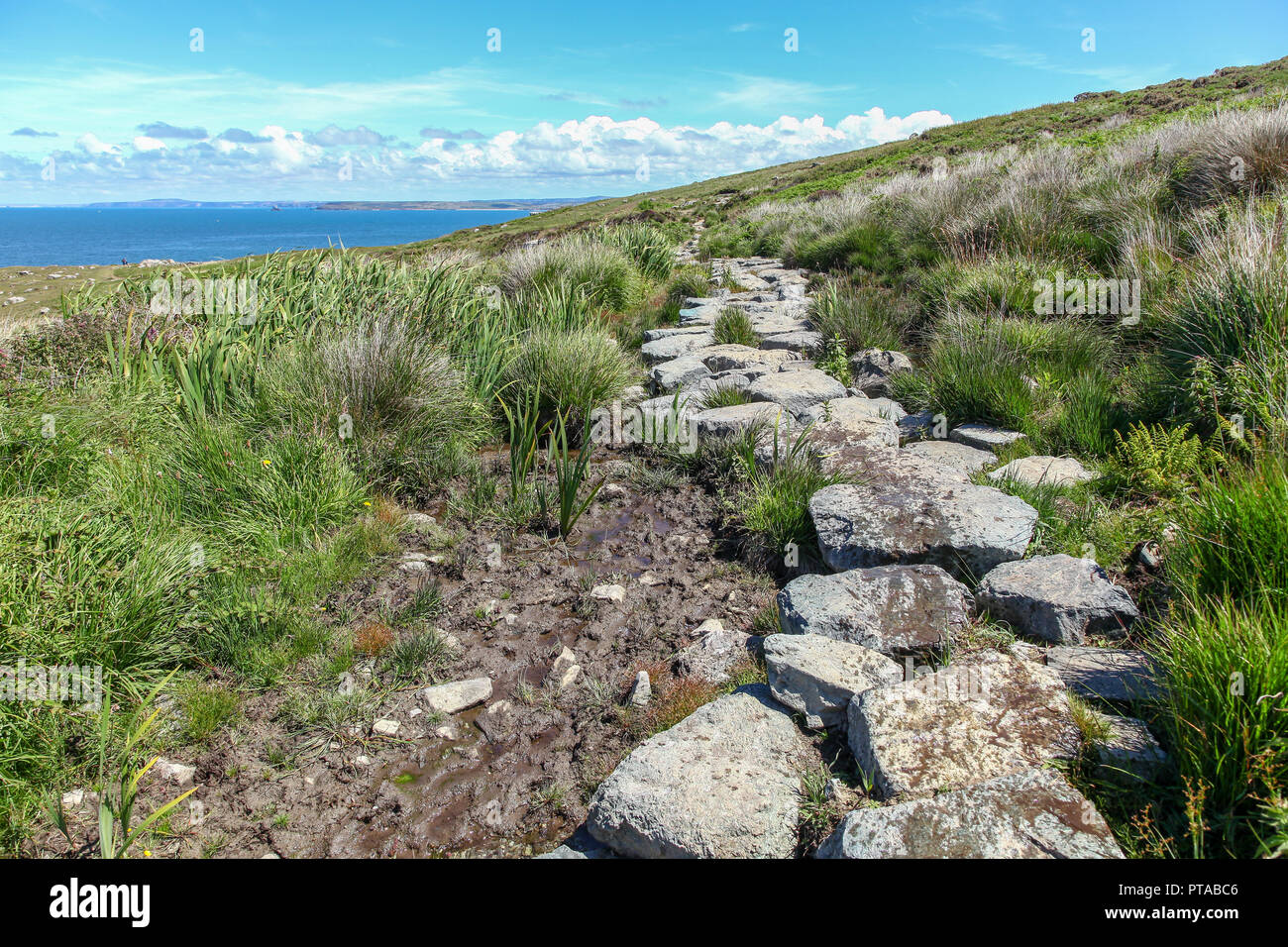 Des pierres formant un sentier plus Hellesveor au sol tourbeux falaise, près de St Ives, Cornwall, England, UK Banque D'Images