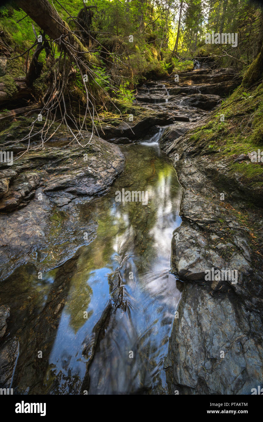 Petit ruisseau de montagne dans la forêt près de Trøbekken Jonsvatnet lac, moyenne de la Norvège. Exposition longue tourné sur l'eau et les roches. L'heure d'été. Banque D'Images