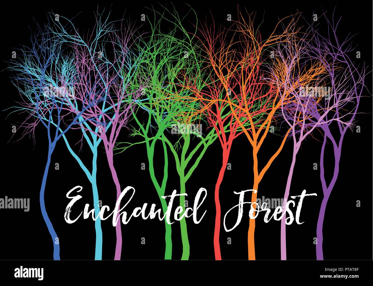 Mystère enchanté forêt avec arbres de couleurs vives, vector illustration sur fond noir Illustration de Vecteur