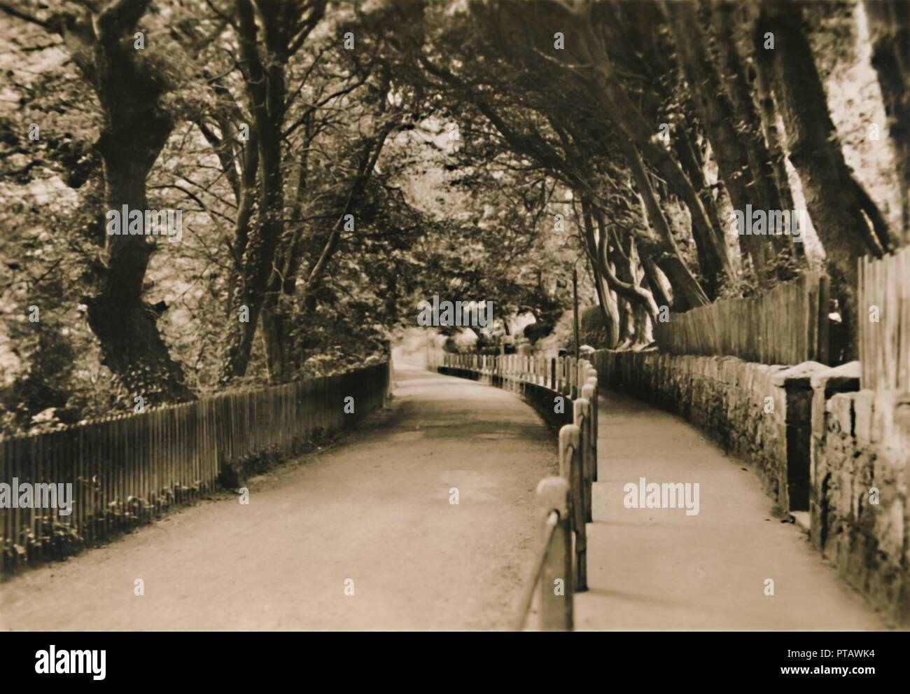 'Chine Avenue, Shanklin, I.W.", c1920. Créateur : Inconnu. Banque D'Images