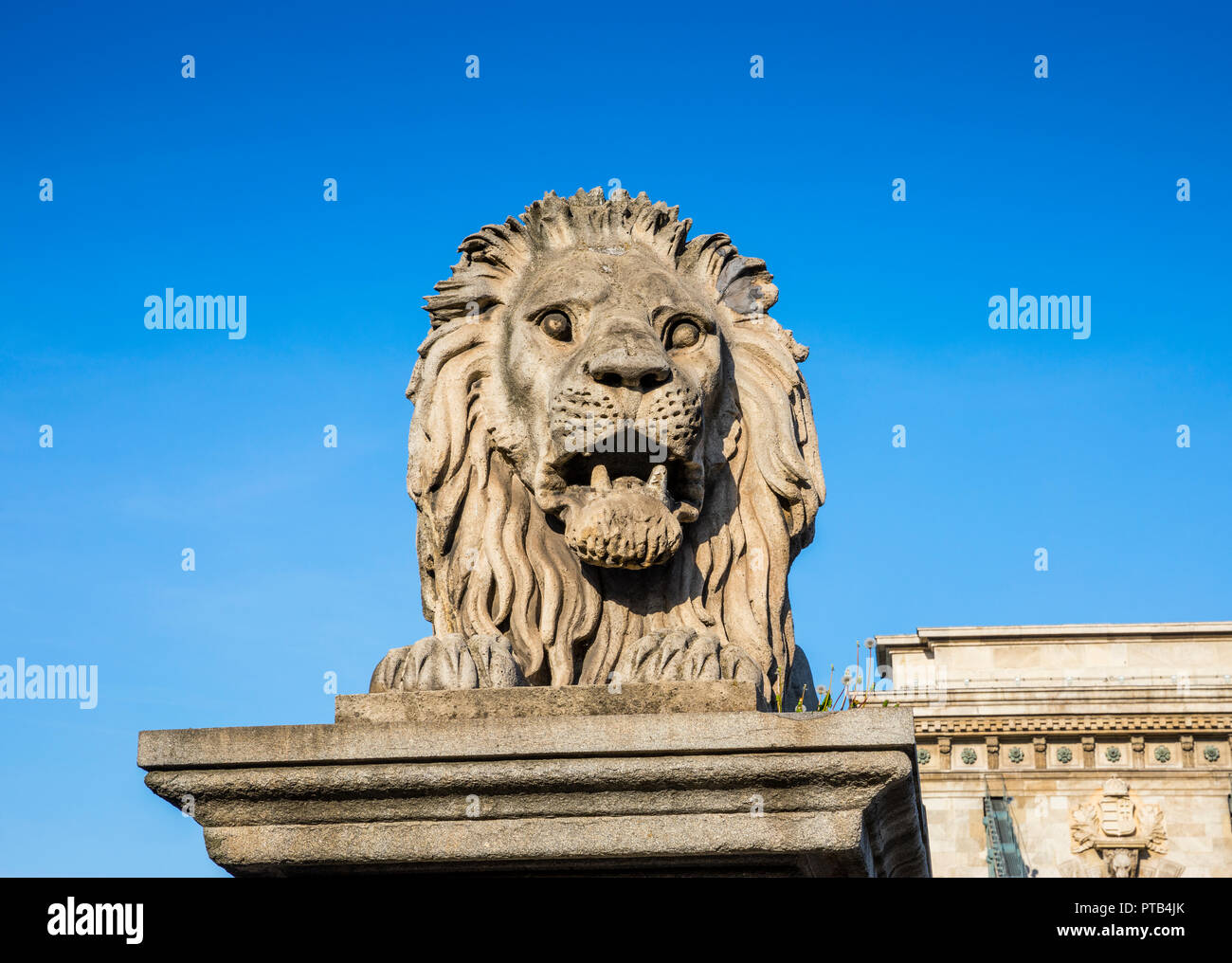 Sculpture Lion Budapest close up sur le Pont des Chaînes sur le Danube Banque D'Images