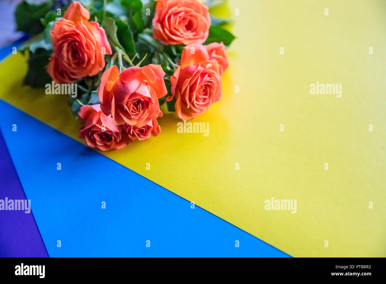 Orange Et Jaune Eden Rose Nostalgique Orange Roses Sur Fond Arc En Ciel Colores Copier L Espace Carte Postale Salutations Bouquet De Belles Roses Joyeux Anniversaire Bonne Fete Des Meres Photo Stock Alamy Orange Et Jaune Eden Rose Nostalgique Orange Roses Sur Fond Arc En Ciel Colores Copier L Espace Carte Postale Salutations Bouquet De Belles Roses Joyeux Anniversaire Bonne Fete Des Meres Photo Stock Alamy
