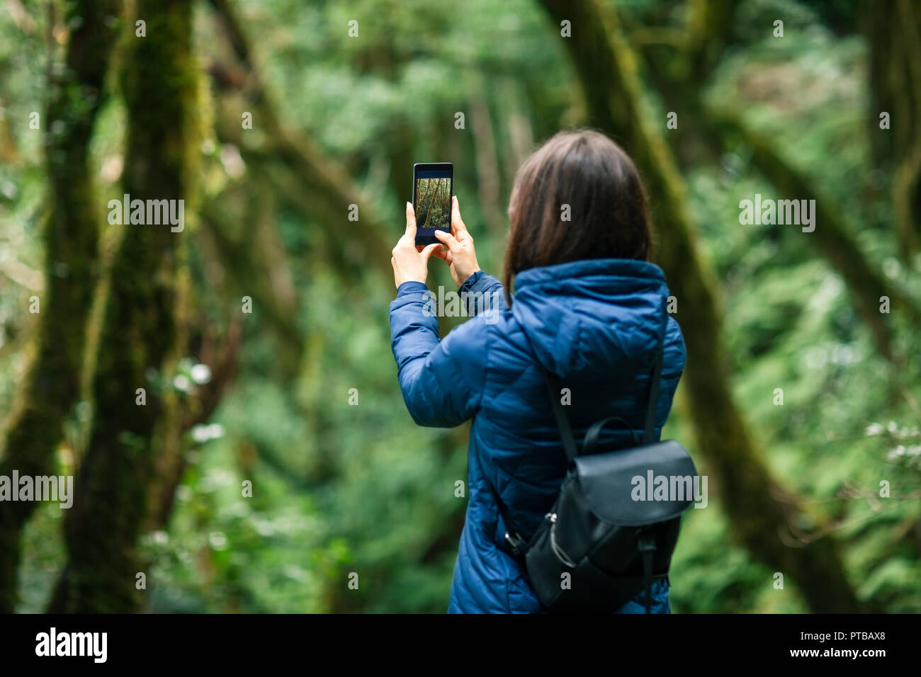 Jeune voyageur femme prend une photo de paysage forestier Banque D'Images