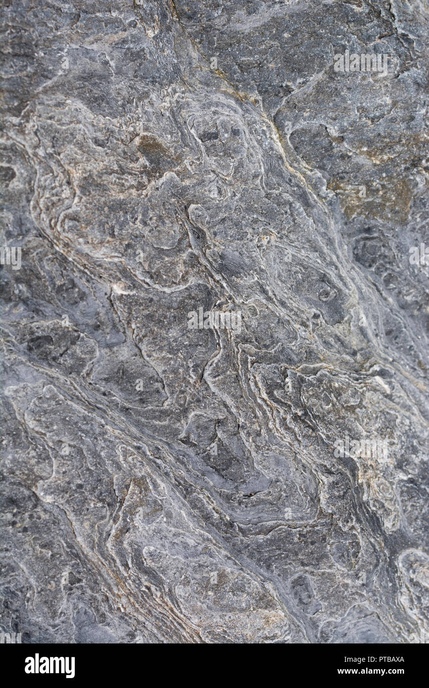 Patinées par la mer, close-up of coastal rock surface à Newquay. Banque D'Images