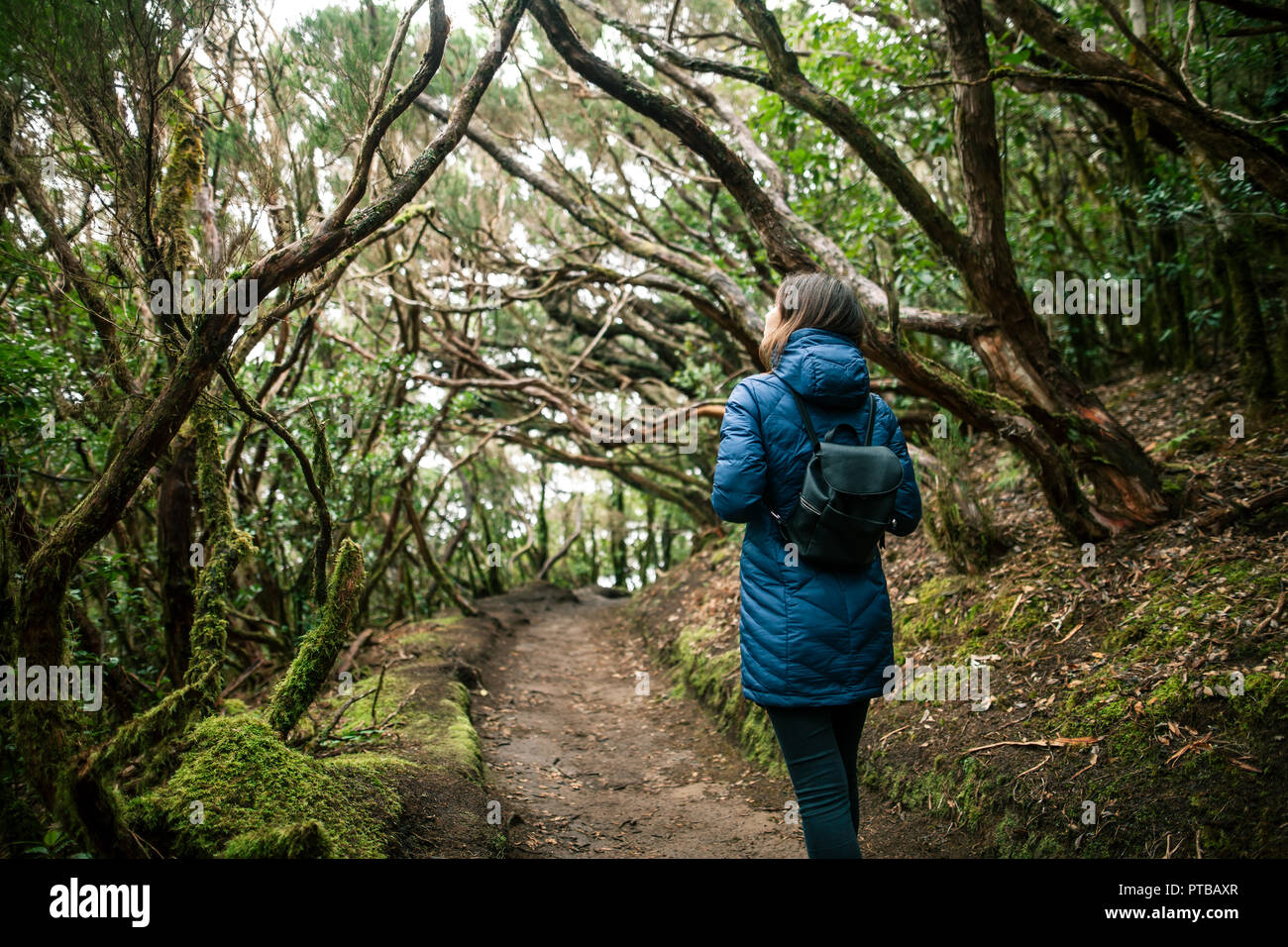 Vue arrière de traveler femme marche en forêt. Concept de voyage. Pays d'Anaga Park, Réserve de biosphère, forêt laurifère, Tenerife, Îles Canaries Banque D'Images