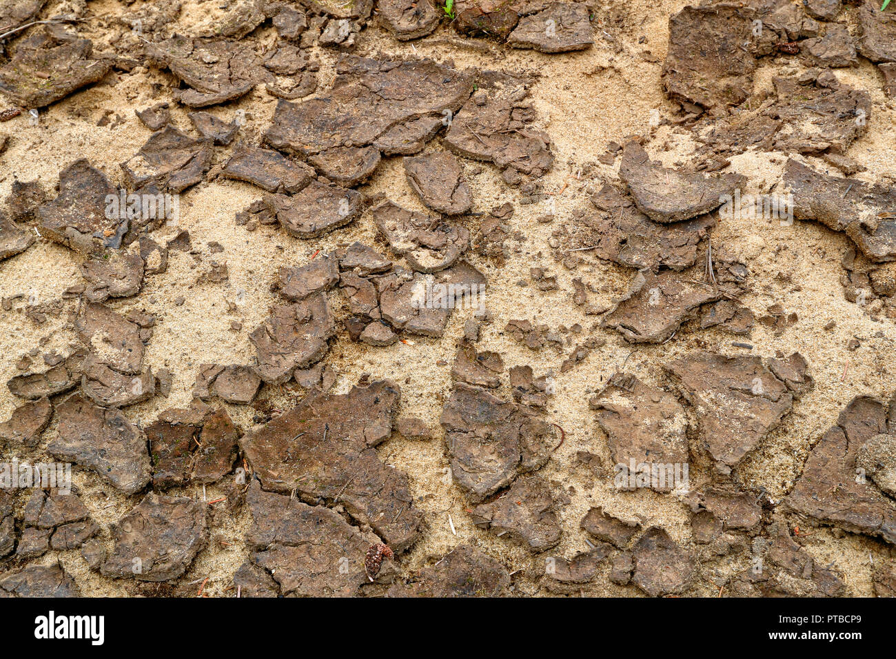 Avec le changement climatique et le réchauffement climatique et la diminution des précipitations, la hausse des températures, la preuve peut être vu dans cette photo, Banque D'Images