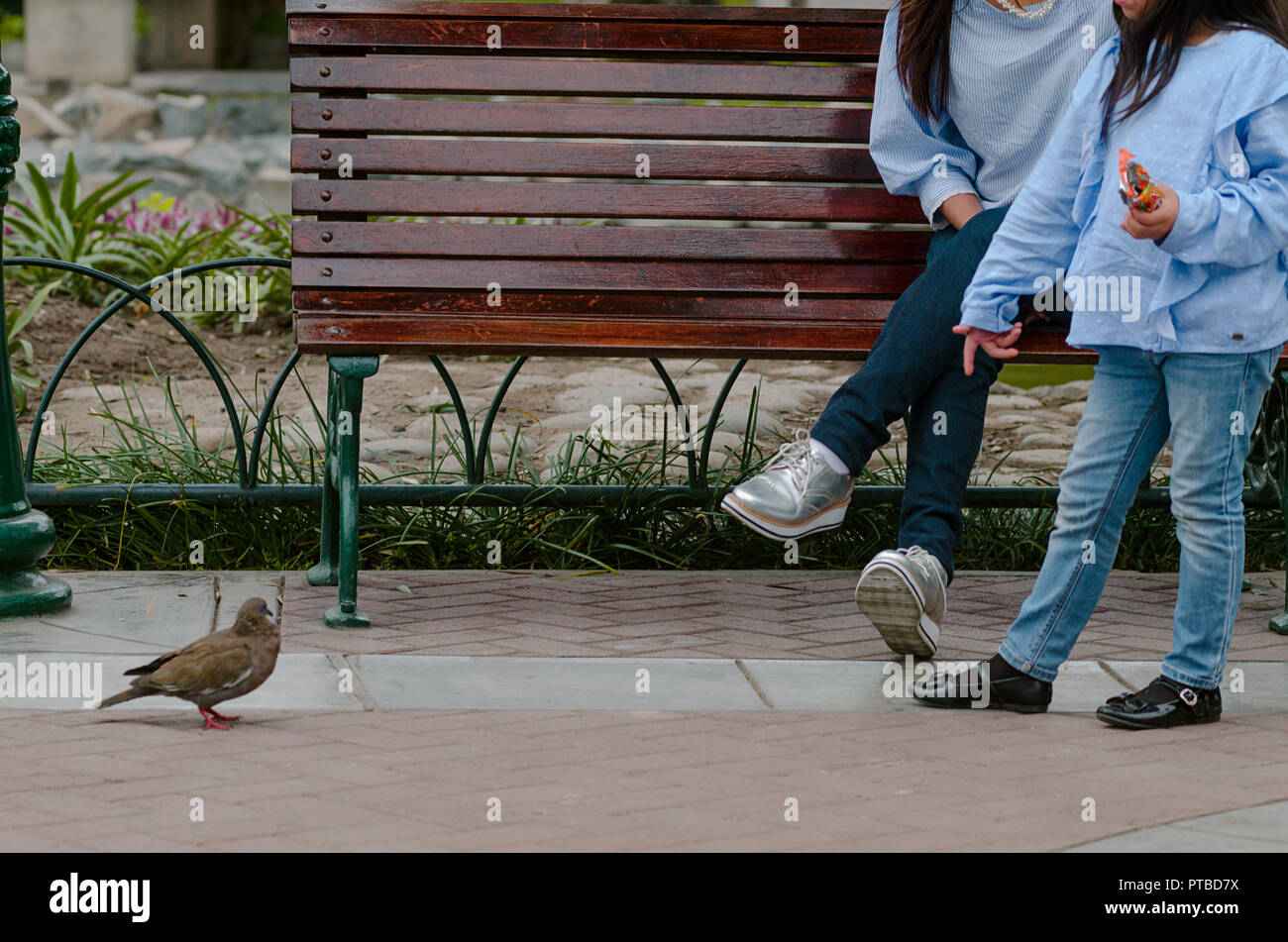 Mère et sa petite fille assise sur un banc à la recherche d'un pigeon dans le parc Banque D'Images